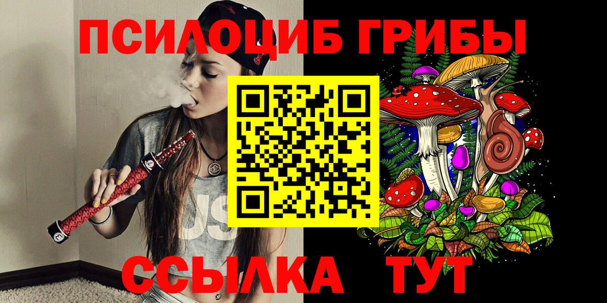Галлюциногенные грибы Psilocybine cubensis  Псилоцибиновые грибы Magic Shrooms  Сочи  Вход с VPN 