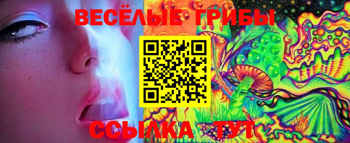 Галлюциногенные грибы Psilocybe Сочи